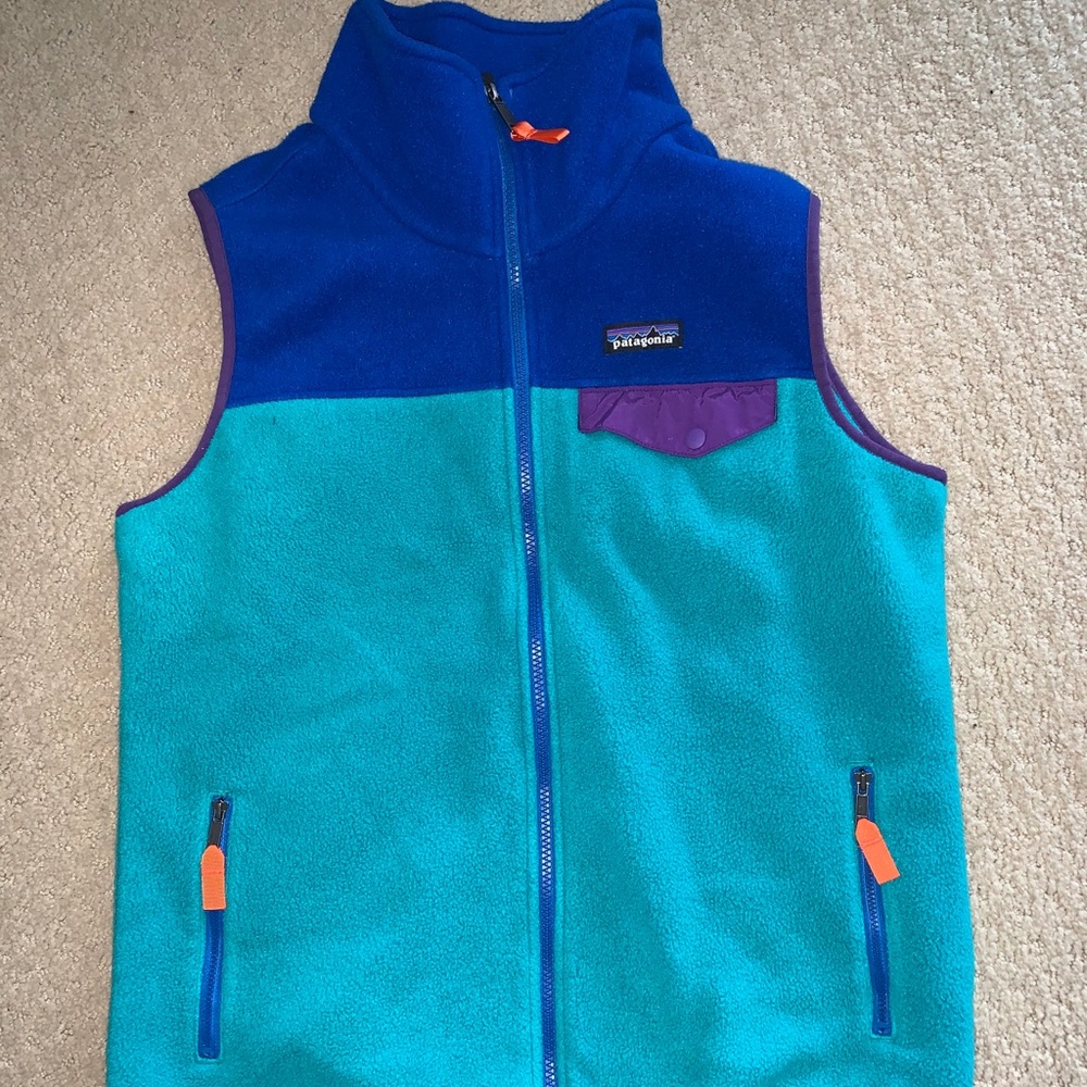 Patagonia Synchilla Vest
